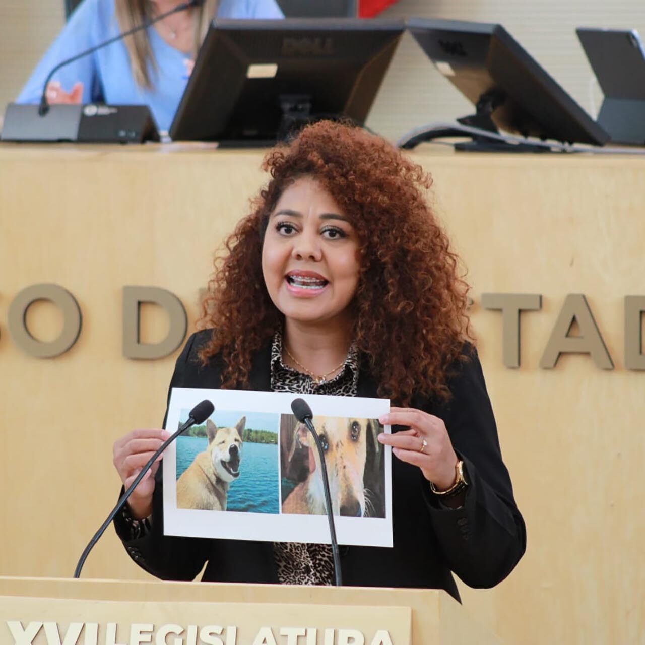 Propone Morena que se reconozca a los animales como seres sintientes