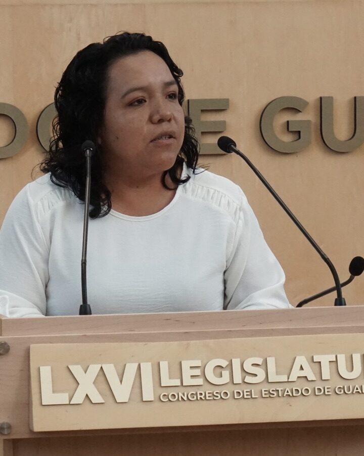 Iniciativa para armonizar Constitución del Estado, en materia de pueblos indígenas y afromexicanos